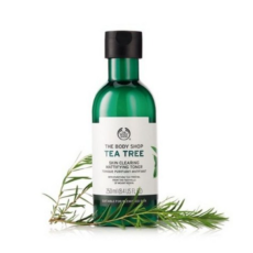 더바디샵 티트리 스킨 클리어링 매티파잉 토너 250ML TEA TREE SKIN CLEARING MATTIFYING TONER 18403 / 37511, 250ml, 1개